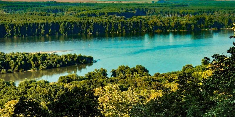 291268069_7562219470519804_8462392533159694318_n