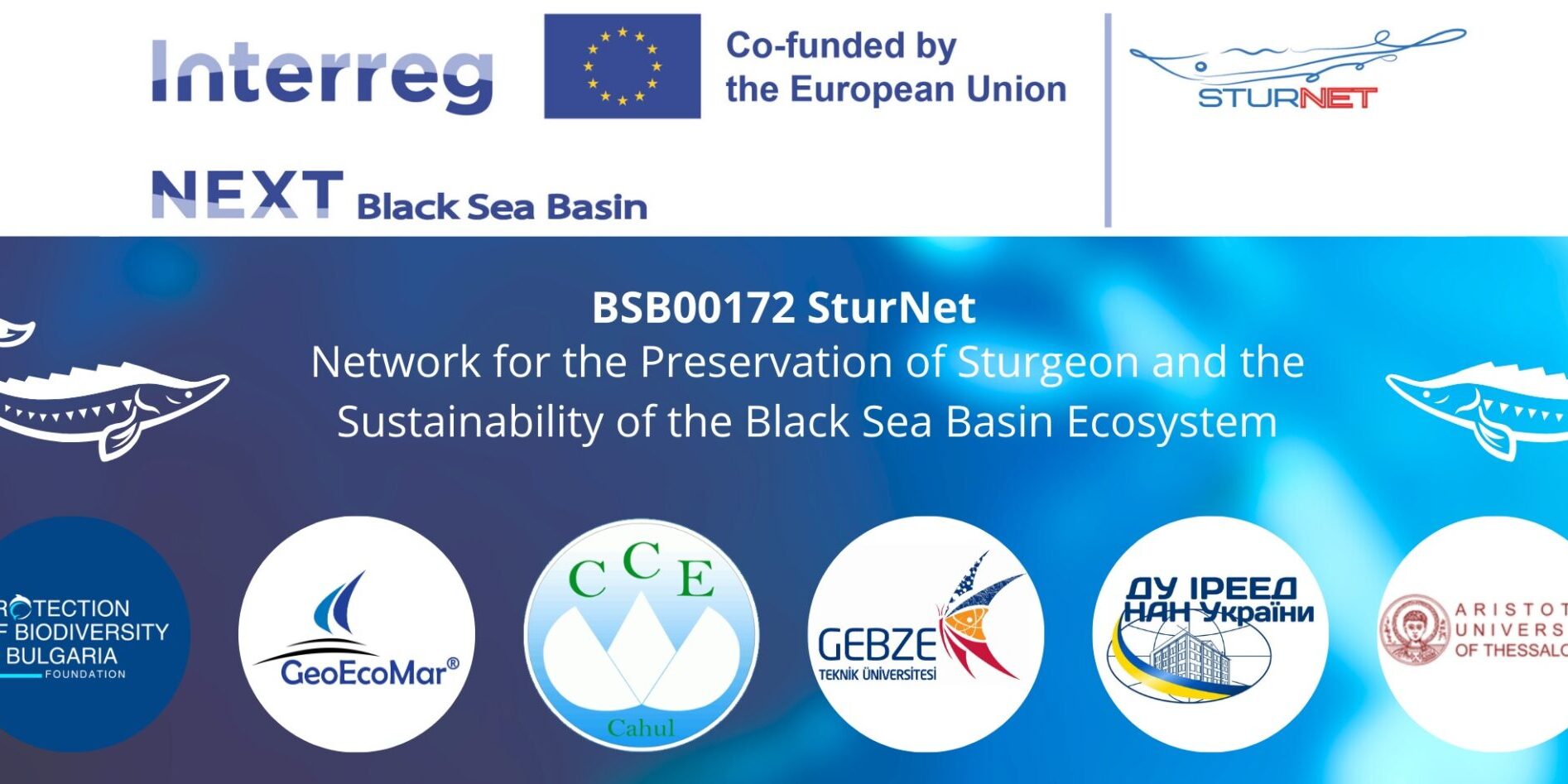 Logo_SturNet_Massive