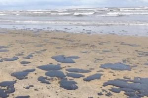 Тузлівські лимани 2